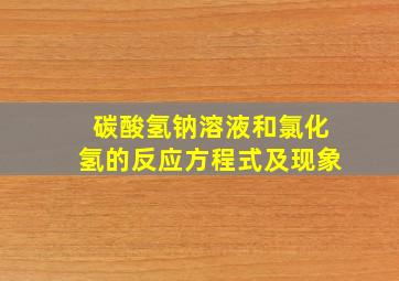 碳酸氢钠溶液和氯化氢的反应方程式及现象