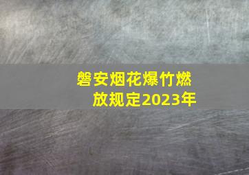 磐安烟花爆竹燃放规定2023年