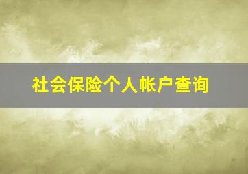 社会保险个人帐户查询