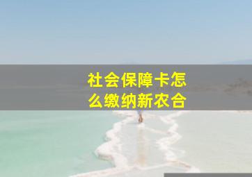 社会保障卡怎么缴纳新农合