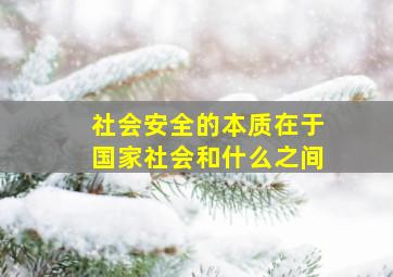 社会安全的本质在于国家社会和什么之间