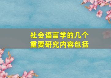 社会语言学的几个重要研究内容包括