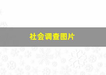 社会调查图片