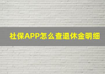 社保APP怎么查退休金明细