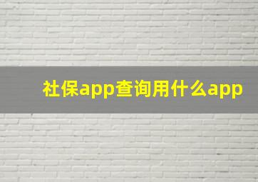 社保app查询用什么app