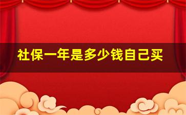 社保一年是多少钱自己买