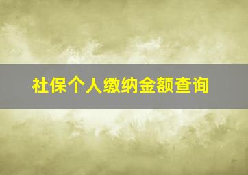 社保个人缴纳金额查询