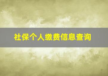 社保个人缴费信息查询