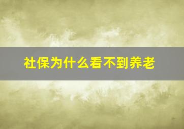 社保为什么看不到养老