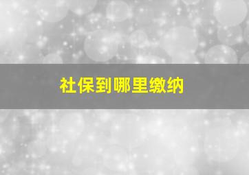 社保到哪里缴纳