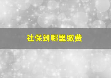 社保到哪里缴费