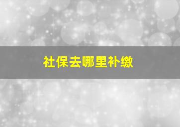 社保去哪里补缴