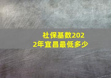 社保基数2022年宜昌最低多少