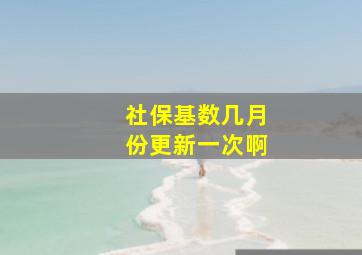 社保基数几月份更新一次啊