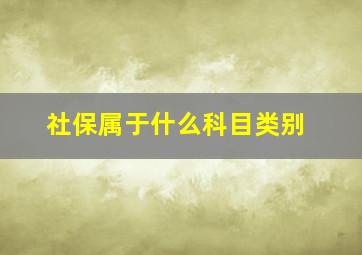 社保属于什么科目类别