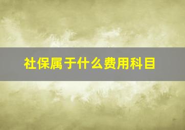 社保属于什么费用科目