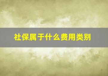 社保属于什么费用类别