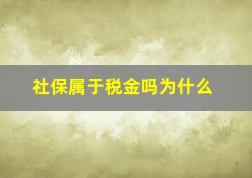 社保属于税金吗为什么