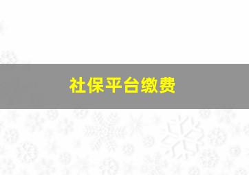 社保平台缴费