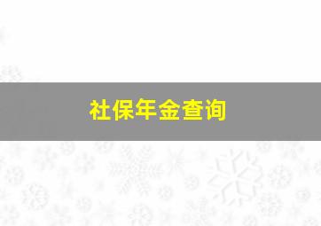 社保年金查询