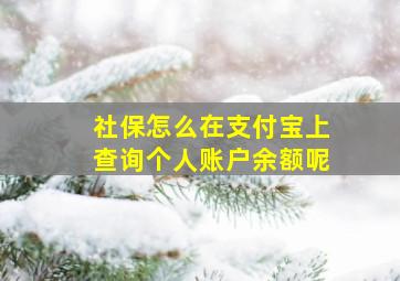 社保怎么在支付宝上查询个人账户余额呢