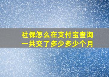 社保怎么在支付宝查询一共交了多少多少个月