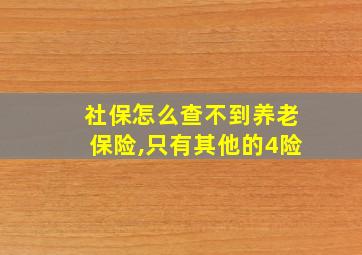 社保怎么查不到养老保险,只有其他的4险