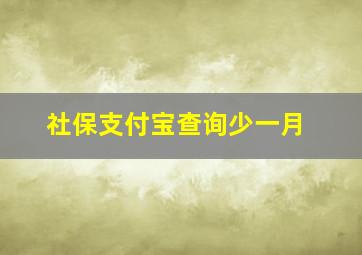 社保支付宝查询少一月