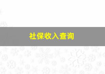 社保收入查询