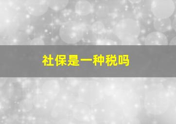 社保是一种税吗