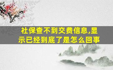 社保查不到交费信息,显示已经到底了是怎么回事