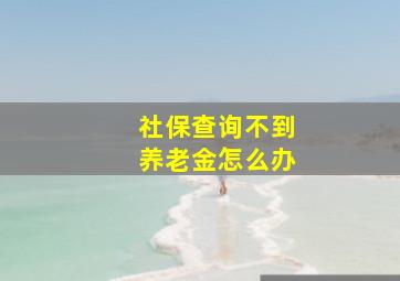 社保查询不到养老金怎么办