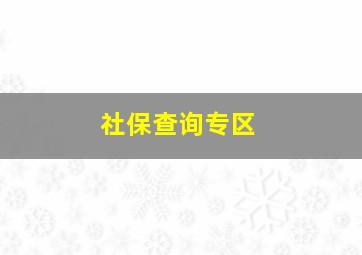 社保查询专区