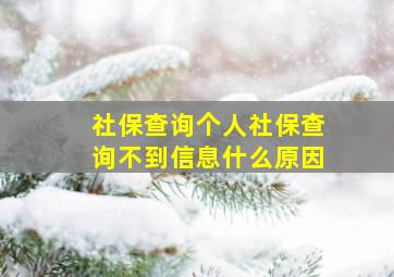 社保查询个人社保查询不到信息什么原因