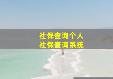 社保查询个人社保查询系统