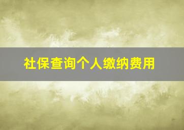 社保查询个人缴纳费用