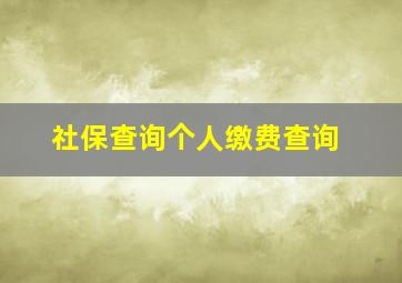 社保查询个人缴费查询