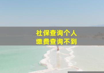 社保查询个人缴费查询不到