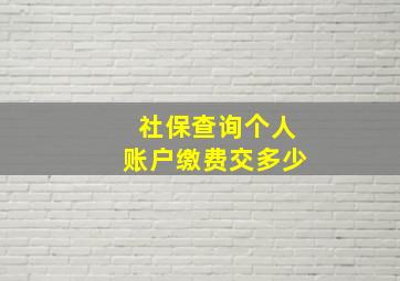 社保查询个人账户缴费交多少