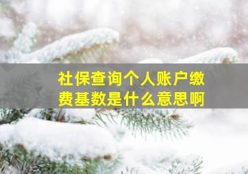 社保查询个人账户缴费基数是什么意思啊