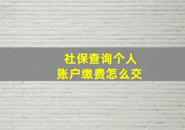 社保查询个人账户缴费怎么交