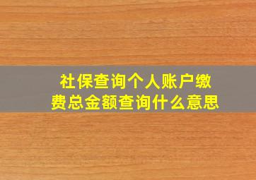 社保查询个人账户缴费总金额查询什么意思