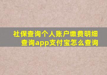 社保查询个人账户缴费明细查询app支付宝怎么查询