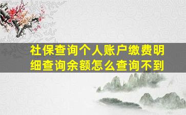 社保查询个人账户缴费明细查询余额怎么查询不到