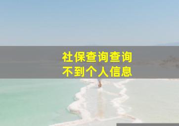 社保查询查询不到个人信息