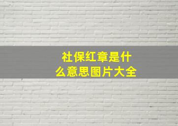 社保红章是什么意思图片大全