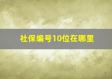 社保编号10位在哪里