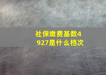 社保缴费基数4927是什么档次