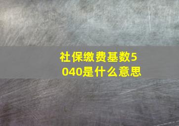 社保缴费基数5040是什么意思