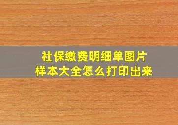 社保缴费明细单图片样本大全怎么打印出来